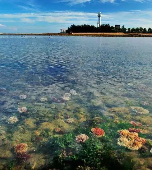 人手一份中国大陆最南端冬休养生度假小城旅游地图