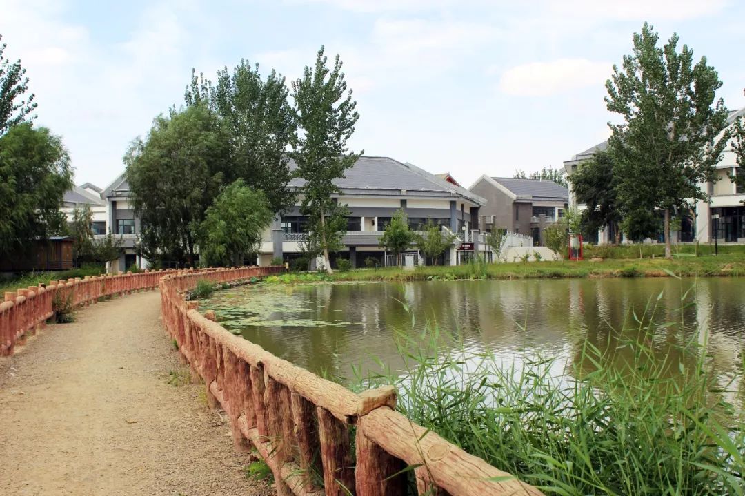 我能想到最浪漫的事就是和你一起去沙坡头水镇爱情岛看格桑花海