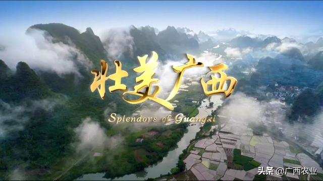 建设壮美广西共圆复兴梦想八桂大地70年来逐步从贫困落后走向繁荣振兴