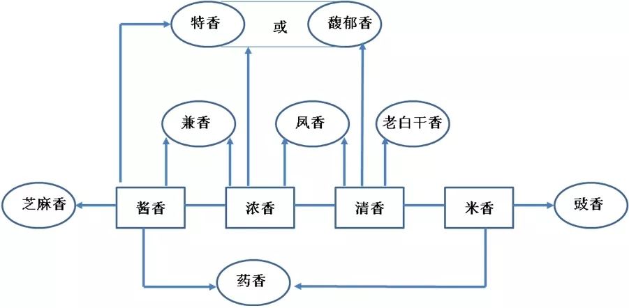 白酒12种香型关系图