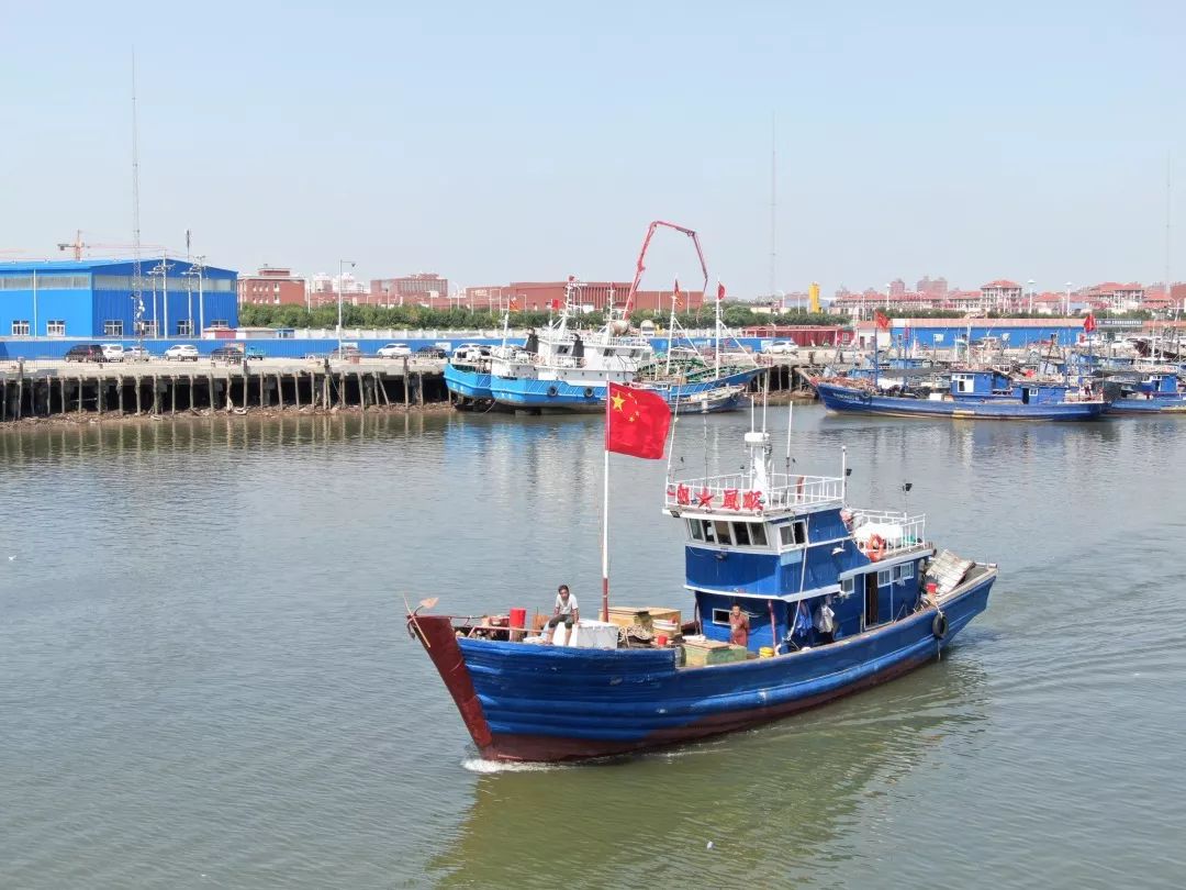 渔船码头又重新热闹了起来沉寂了四个月的那答案里一定有北塘码头