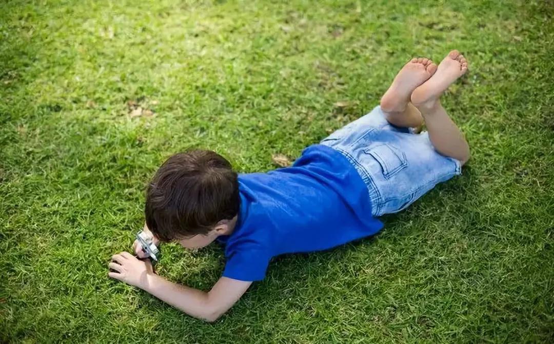 为什么要培养娃的观察力?_孩子