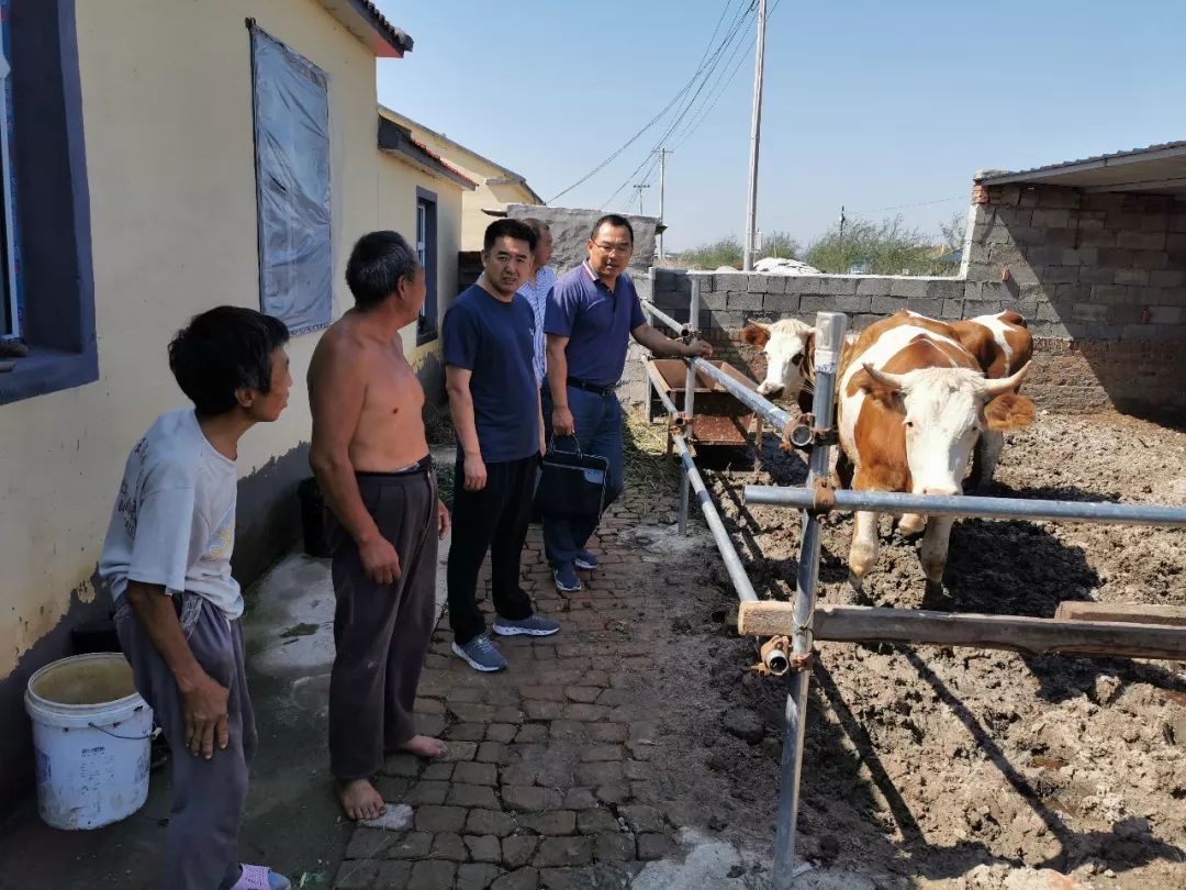 市住建局深入科左中旗图布信苏木努合嘎查走访调研