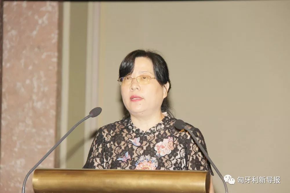 亲情中华中国文字丝路行汉字国际巡展走进布达佩斯