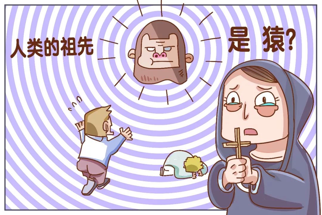 进化还是变化物种起源来告诉你