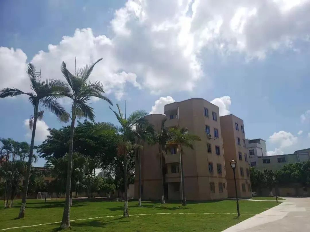 虎门赤岗这所停办了9年的小学也复办啦!