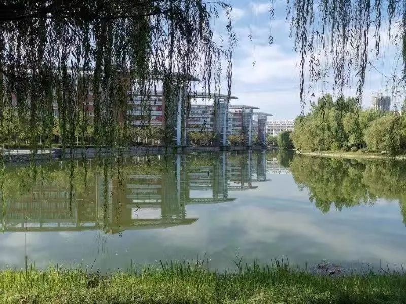 新河大变得更美了原来是因为这个