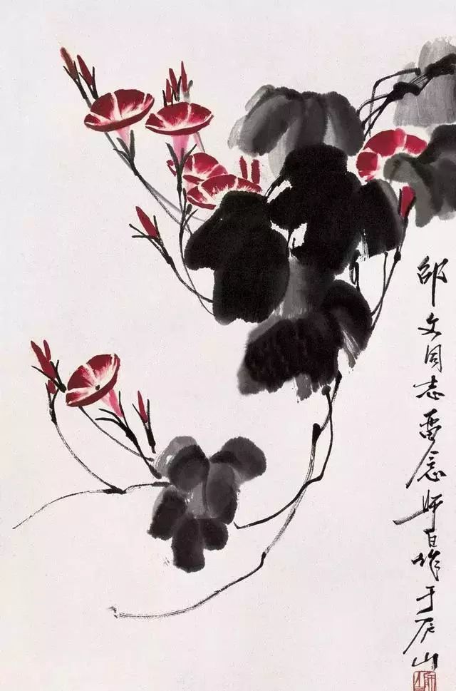 娄师白笔下的牵牛花