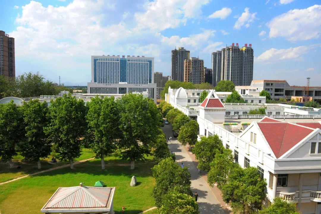 关于河南省精神病医院（新乡医学院第二附属医院）代挂号跑腿，24小时接听您的电话的信息