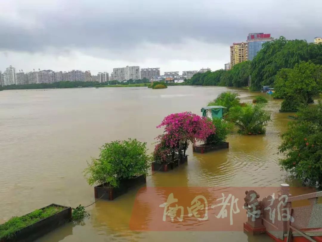暴雨三级预警14号台风剑鱼生成杀回海南今天琼海万泉河成这样子