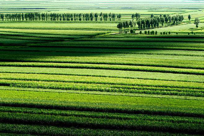 黑龙江省9月1日起实施耕地占用税适用税额决定
