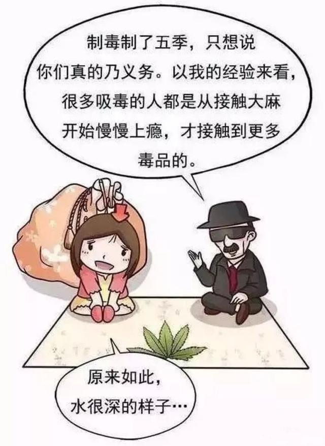 禁毒漫畫小知識