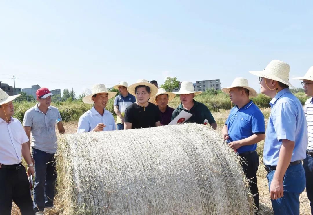 8月28日,我市农作物秸秆禁烧打捆作业现场会在罗河镇新田村举行.