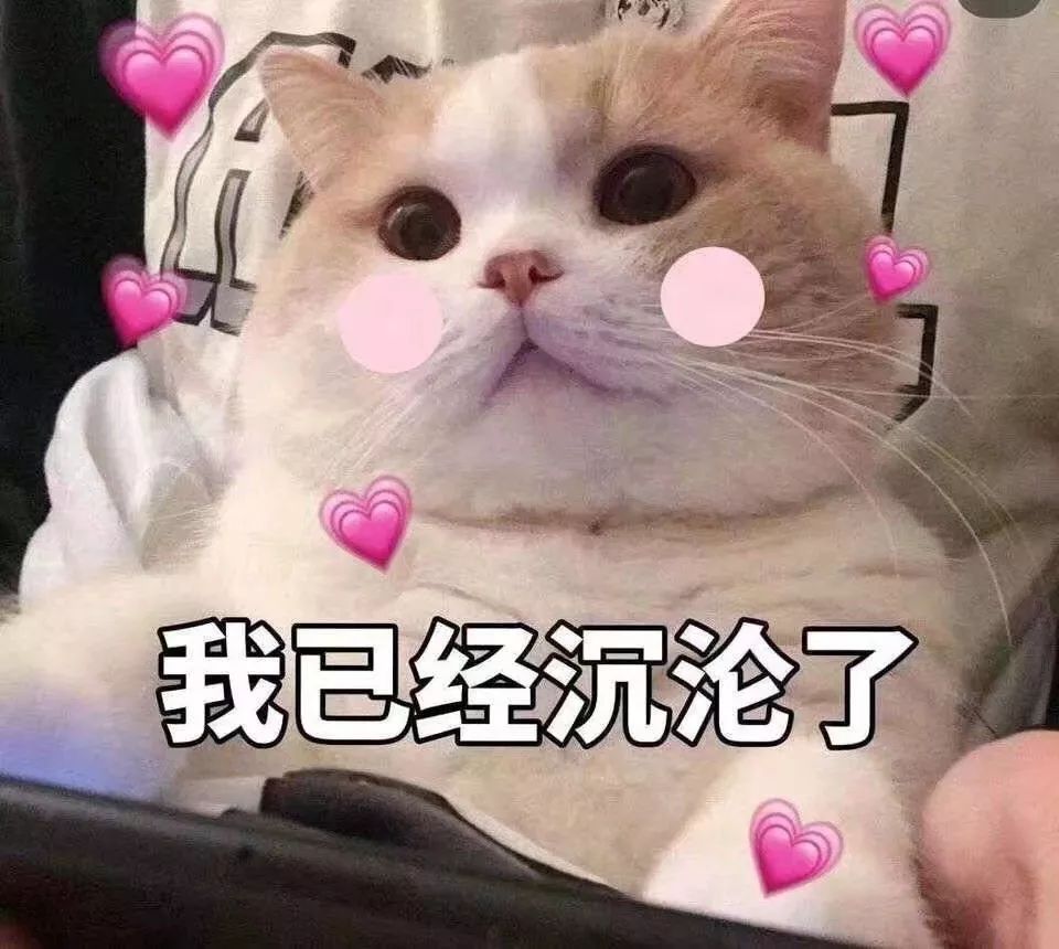 撒娇专用表情包喜欢一个人是藏不住的