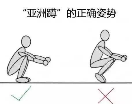 踝关节背伸背屈图图片