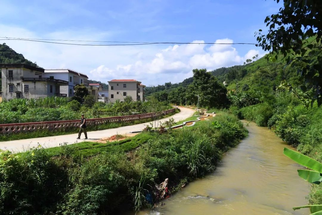 云浮市南盛镇滑石村,干净整洁的水泥环村道路两旁错落有致地分布着