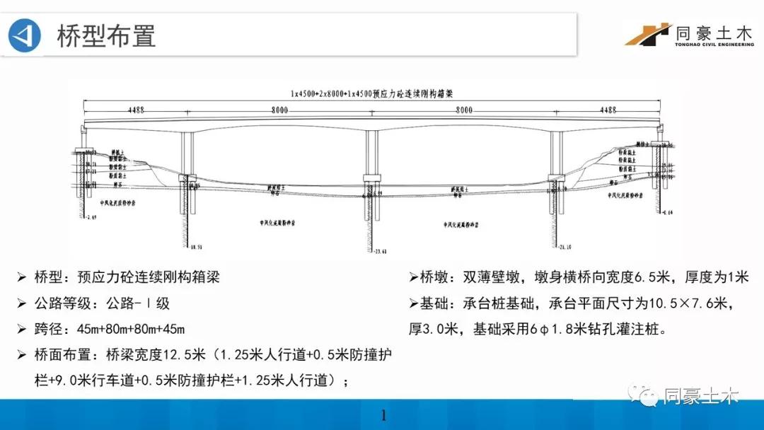 连续刚构桥立面图图片