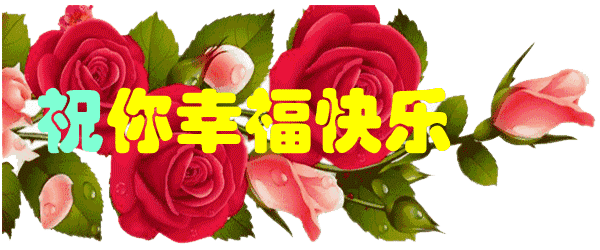 的事情从今天起,要做一颗向着太阳生长的向日葵永远阳光永远积极向上!