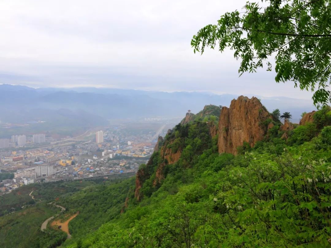 美丽丹凤第二十九期四季凤冠山