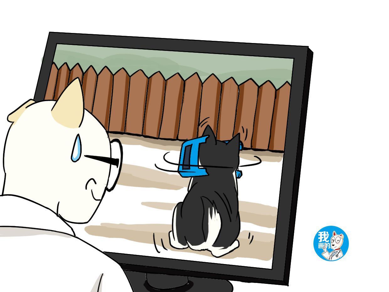 原创二哈拆家突然停下来男子一头雾水查看监控后表情复杂