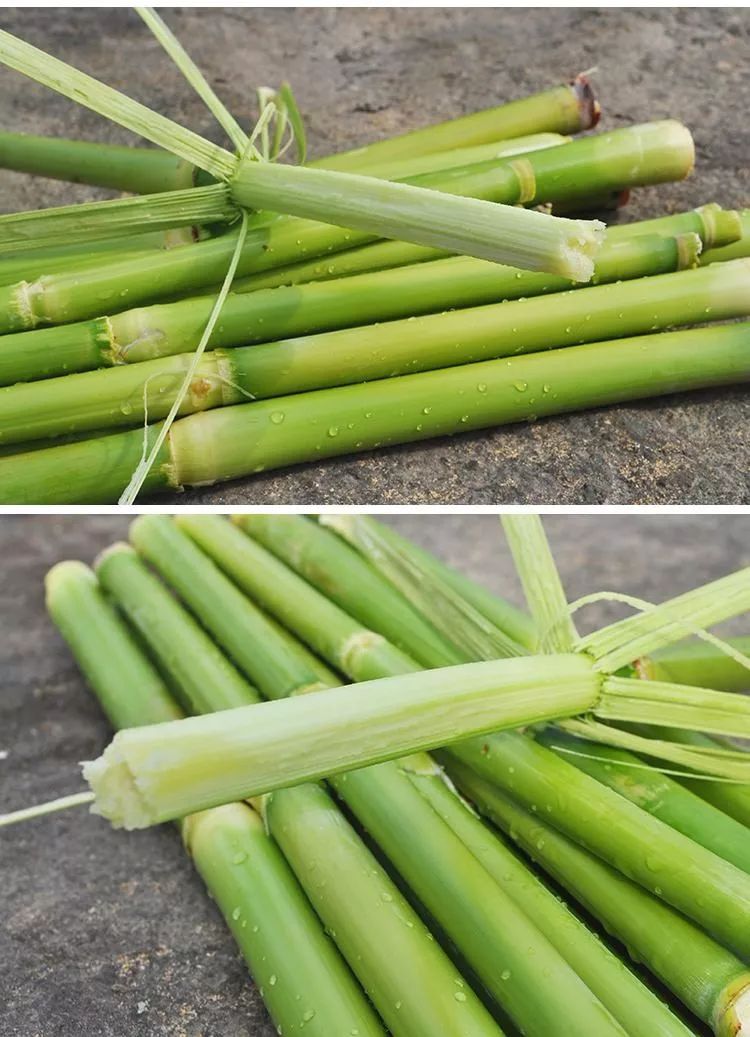 果蔬跨界小明星崇明甜芦粟你吃过吗