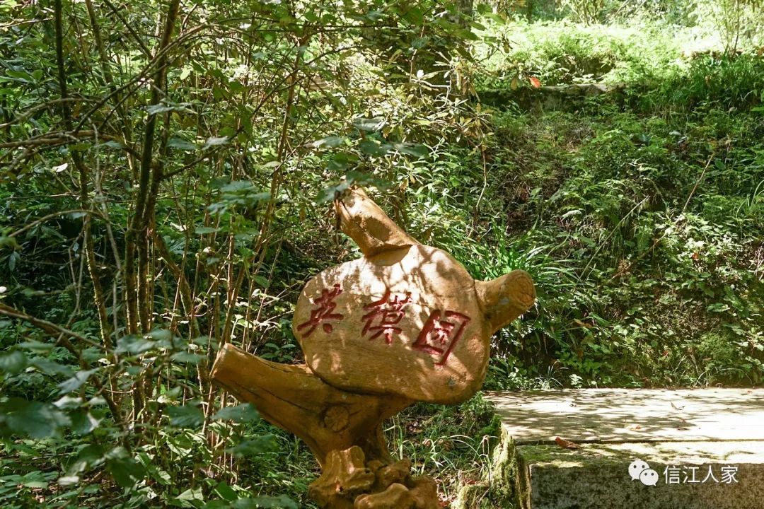 荆竹山景区图片