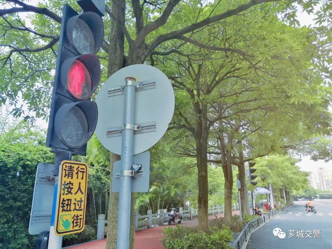市区江滨路过马路要这样——按按钮,来学学怎么使用_红绿灯