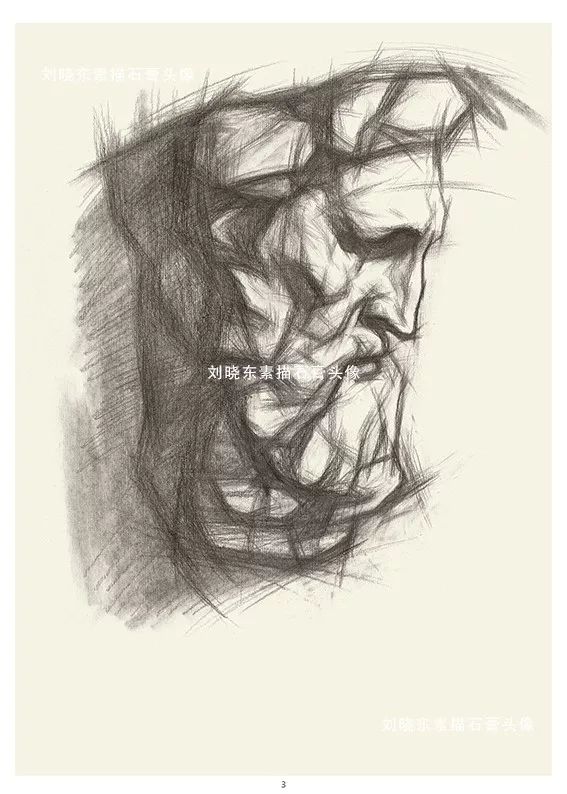 中国美术学院专业基础教学部教师刘晓东素描石膏头像挂图