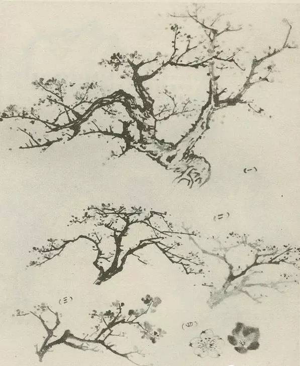 怎样画树看完你就会了