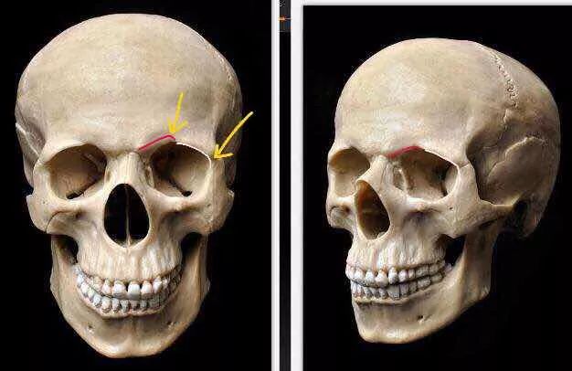 原创为什么阿娇的蜜糖却是雪莉的砒霜
