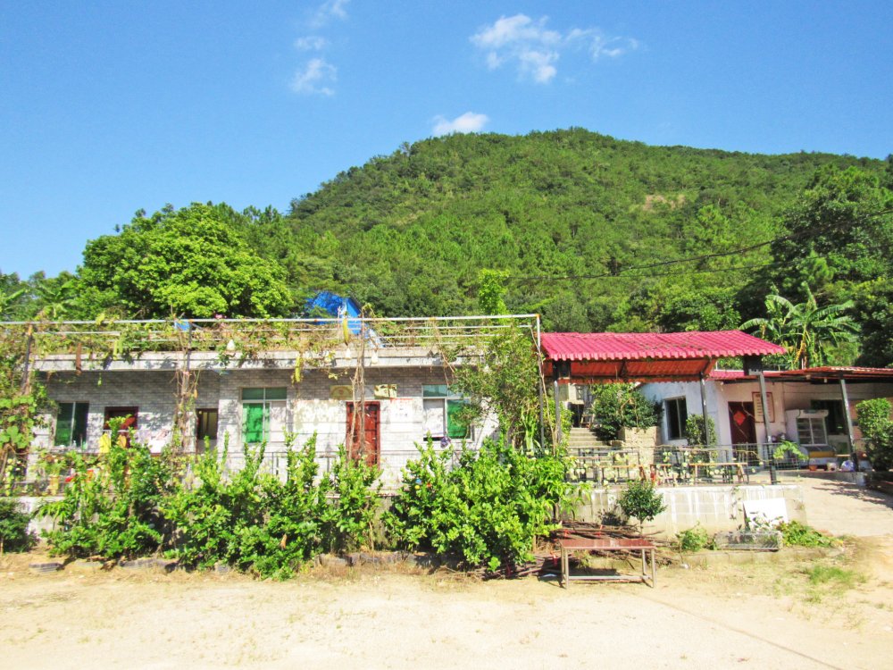 泉州居民的後花園洛江河市鎮新告村