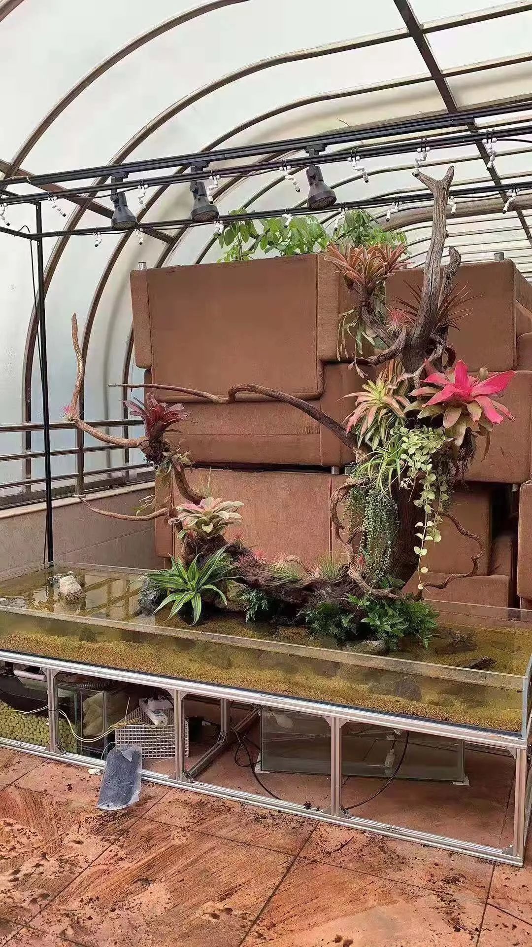 拥有10米雨林缸,3米沙漠缸的酒吧!也没谁了!