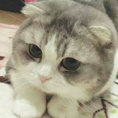 爆笑段子我前看500年后观600载发现姓罗的最心高气傲