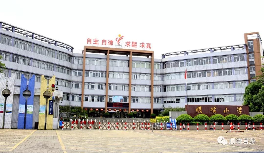 顺峰小学南沙小学星槎小学天连小学新华小学富教学校【回顾】返回搜狐