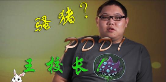 韩国药水哥khan称直播灵感来源pdd小猪仔又给我们长脸了