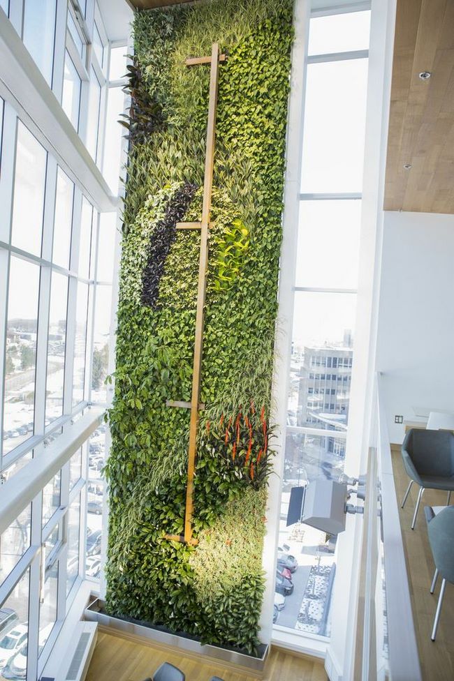 thecurrents世界上最高的水培植物墙