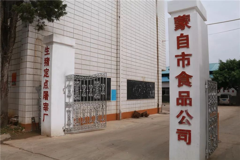 作为蒙自唯一的定点屠宰场,这里拥有每年屠宰50万头生猪的能力,据屠宰