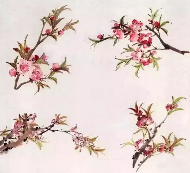 水墨桃花的画法步骤图片
