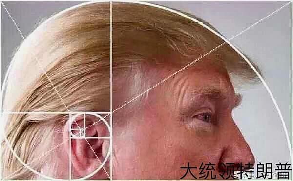 自然界中:普遍存在黄金分割,它能表明宇宙是被外星人设计的吗?_比例