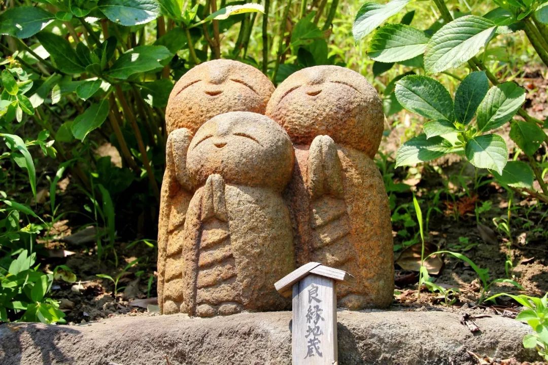 2知式旅行|日本篇历史,文化和人文风情循序渐进地探寻在这里发生过的