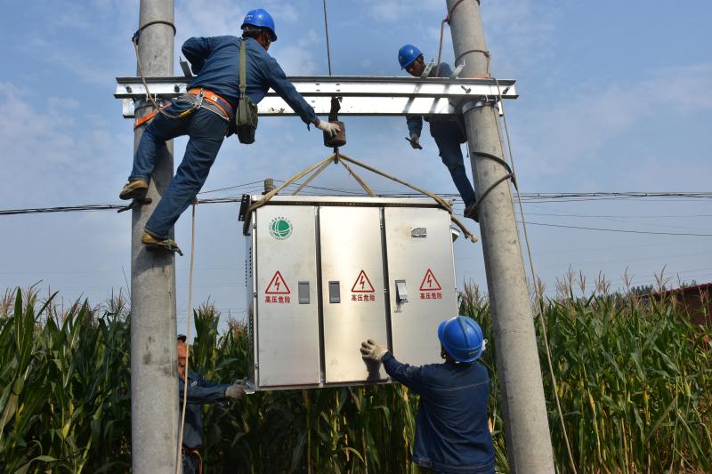 新蔡县供电公司:配网融资租赁工程建设如火如荼_施工