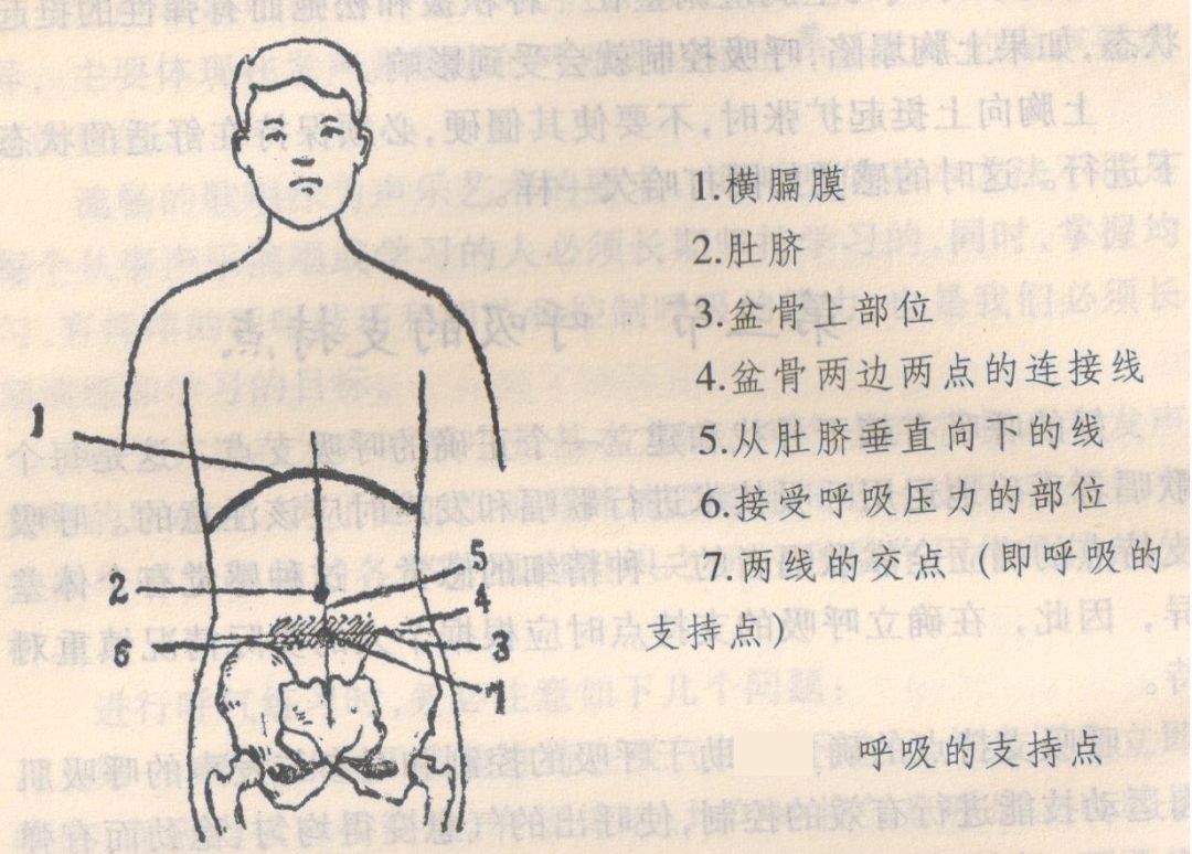 歌唱呼吸的支持点的获得