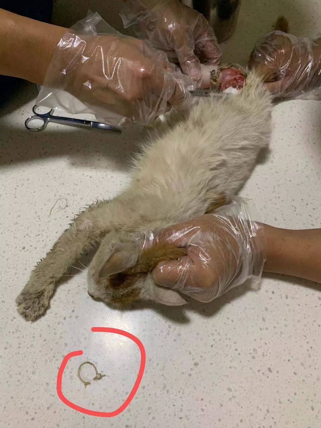 在你受伤的时候遇见你温暖你