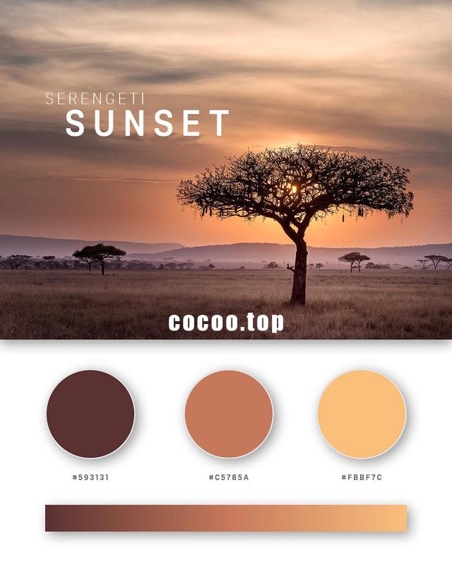 一组三色搭配方案色彩搭配灵感