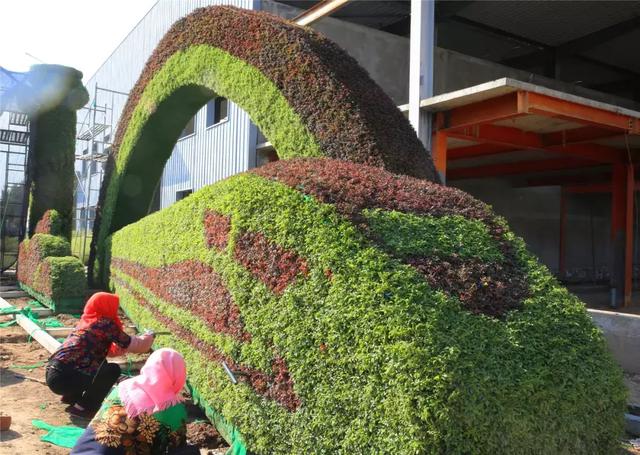 吴忠市为庆祝新中国成立70周年制作立体绿雕