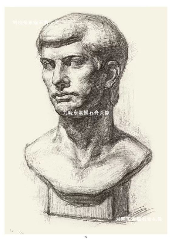 中国美术学院专业基础教学部教师刘晓东素描石膏头像挂图