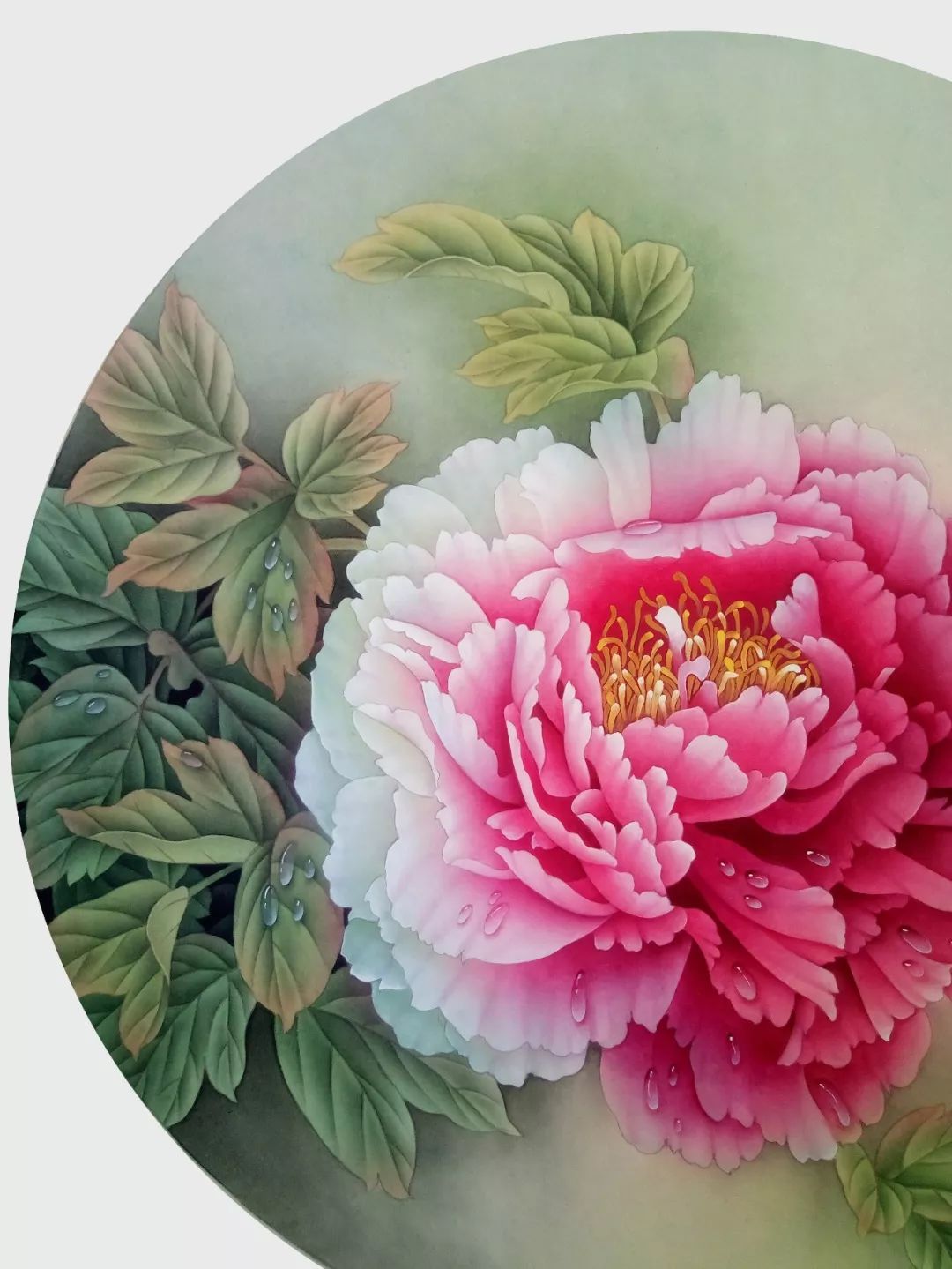 宁珍蕾工笔滴水牡丹网络班2幅只要100元