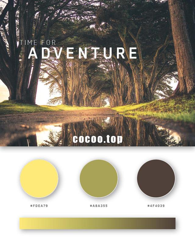 一组三色搭配方案色彩搭配灵感