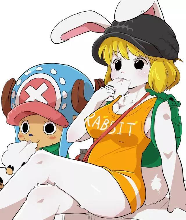 比如路飞要成为海贼王,索隆要当世界第一剑豪等等,加洛特是传承了佐