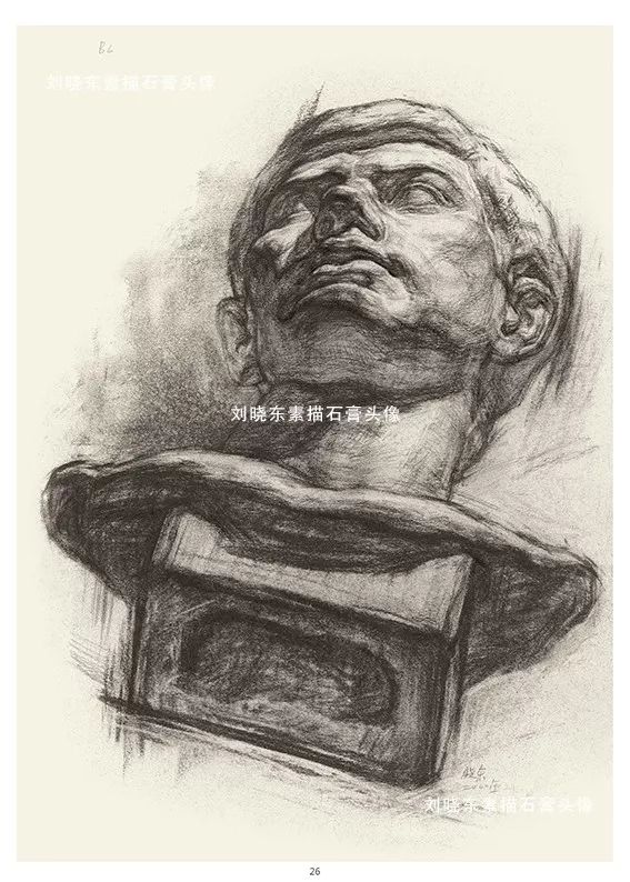 中国美术学院专业基础教学部教师刘晓东素描石膏头像挂图